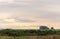 Dusk on farms in the pampa biome area of the State of RS - Brazil