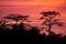 Dusk at Kinabatangan river