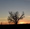 Dusk Over Ely