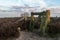 Dusk over heathland area in holland looking past fence