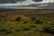 Dusk settles across the  heathland in the New Forest near Fordingbridge, UK