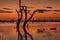 Dusk skies over the magnificent Menindee Lake