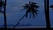 Dusk sky and the coconuts on the beach lean against force of storm coconut