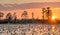 Dusk sunset over Grand Prairie, Okefenokee Swamp National Wildlife Refuge, Georgia