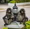 Dusky monkeys sitting on platforms next to lamps