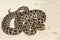 Dusky Pygmy Rattlesnake - Sistrurus miliarius barbouri