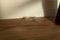 Dust bunny ball on wooden floor against wall in evening light