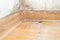 dust in the corner of the room. real old neglected dusty dirt, dirty toxic mold and fungus bacteria on the white wall, skirting bo