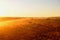 Dust is over the Kalahari landscape at sunrise behind every vehicle passing by