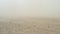 Dust storm in the field. Demolishes the fertile layer of black soil and crops.