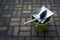 Dustpan, brush and bucket outside on pavement