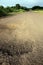 Dusty dirt road in the Galapagos highlands