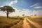dusty dirt road winding through savanna landscape