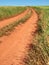 Dusty and dirty tractor road in field landscape. Way between fields