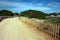 Dusty famous arid and dirt road to Ses Illetes maritime tourist attraction in summer in Formentera