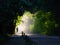 Dusty hiking road in the forest at dawn.