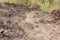 Dusty lava flow trail to the top of Batur volcano on Bali island. Slag of hardened lava on the way to the active volcano crater.