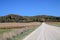 Dusty path through yellowing fields leading to the thick forest, clear sky background