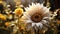 Dusty White Sunflower With Sunlight - Unreal Engine Rendered Image