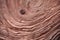 dusty wood grain texture close-up
