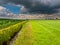 Dutch agricultural landscape