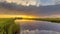 Dutch Agricultural Polder Landscape