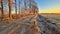 Dutch agricultural winter landscape on clear morning