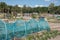 Dutch allotment garden with protected vegetables, bean stakes and sheds