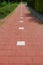 Dutch Bike Path