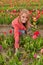 Dutch blond girl in plucking tulips