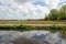 Dutch bulb field in Lisse