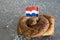 Dutch cinnamon bread roll, called Bolus