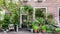 Dutch city house with plants and pottery
