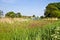 Dutch country landscape with farm in spring