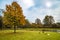 Dutch Country side landscape in Autumn