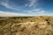 Dutch dunes sea defence near Petten, het Zwanenwater