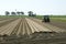 Dutch farmer makes potato ridges in cropland