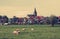 Dutch farmland landscape. Remembering the Europe travel