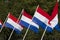 Dutch Flags