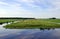 Dutch flat landscape with cows and grass fields