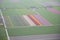 Dutch flower field from above