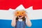 Dutch girl with orange donuts and Netherlands flag