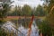 Dutch Heath landscape in autumn colors