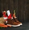 Dutch Holiday Sinterklaas background. Children`s shoes, carrots