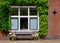 Dutch house windows surrounded green plants flowers bench