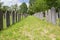 Dutch-Jewish Cemetery: main part in Diemen cemetery