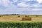 Dutch Landscape Agricultural Countryside With Hay Bales After Harvest