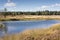 Dutch landscape with heather, forest, woods, water, lake, white clouds and blue sky.