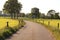 Dutch landscape with tarred road