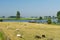 Dutch landscape with water boats and sheep